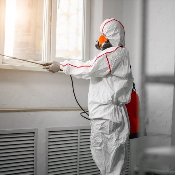 mold-remediation-professional mold-remediation-professional